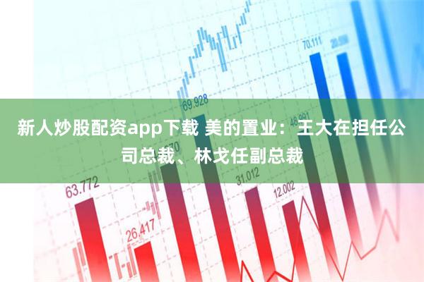 新人炒股配资app下载 美的置业：王大在担任公司总裁、林戈任副总裁