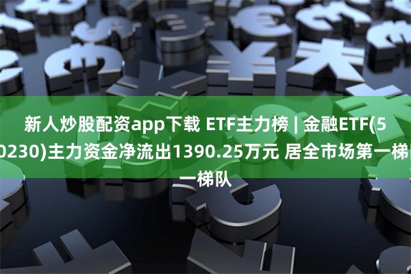 新人炒股配资app下载 ETF主力榜 | 金融ETF(510230)主力资金净流出1390.25万元 居全市场第一梯队