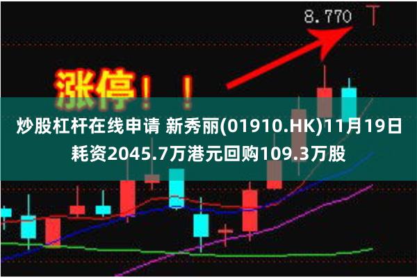 炒股杠杆在线申请 新秀丽(01910.HK)11月19日耗资2045.7万港元回购109.3万股