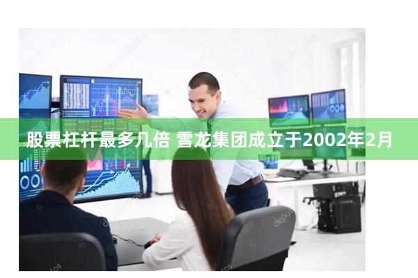 股票杠杆最多几倍 　　雪龙集团成立于2002年2月