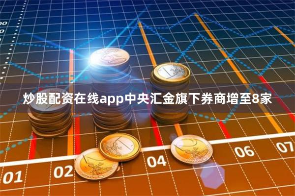 炒股配资在线app中央汇金旗下券商增至8家