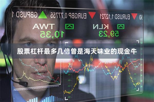 股票杠杆最多几倍曾是海天味业的现金牛