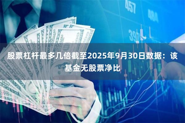 股票杠杆最多几倍截至2025年9月30日数据：该基金无股票净比