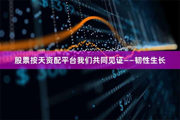 股票按天资配平台我们共同见证——韧性生长